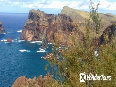 South East Tour Sunday Flea Market from Funchal