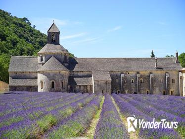 Luberon Experience : Private Chauffeur
