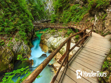 Vintgar Gorge Half Day Self-Guided eBike Trip from Bled