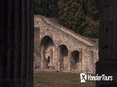 Pompeii ruins and Archaeological Museum private tour from Naples or Sorrento