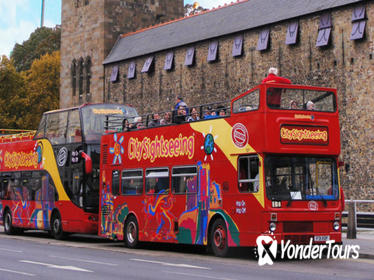 City Sightseeing Cardiff Hop-On Hop-Off Tour