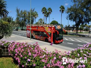 City Sightseeing Las Palmas de Gran Canaria Hop-On Hop-Off Tour