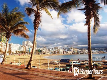 Guided Tour of Las Palmas including Botanic Garden and Volcano