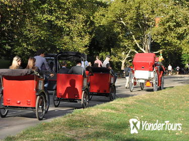 Private Central Park Pedicab Tour with Photoshoot