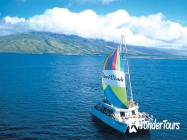 Molokini Sail and Snorkel Adventure