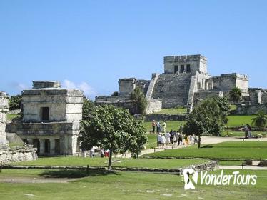 Tulum and Tankah Cenotes Eco-Adventure Tour