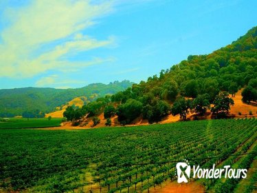 Napa and Sonoma Valley Wine Country Tour from San Francisco