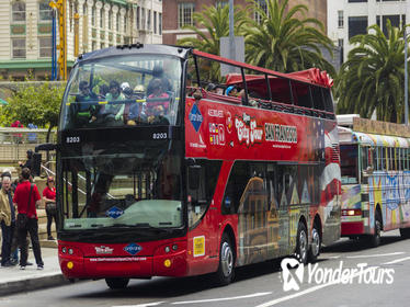 Viator Exclusive: San Francisco Hop-on Hop-off Plus Bike & Bay Cruise