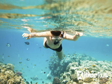 Na Pali Kauai Snorkel Expedition