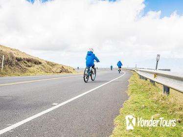 Haleakala National Park Sunrise Bike & Zipline Tour