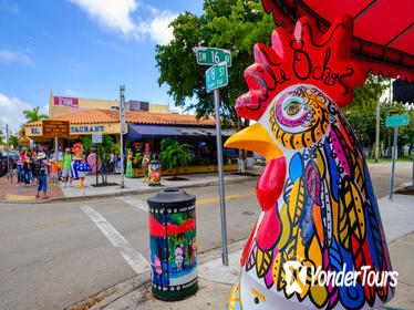 Miami City and Boat Tour with a FREE Bicycle Rental in South Beach