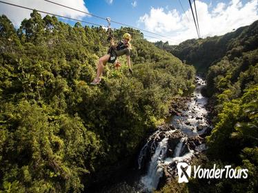 Big Island Zipline Tour and Hawaii Volcanoes National Park from Hilo or Kona