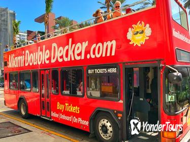 City Half Day Tour of Miami by Bus with Sightseeing Cruise