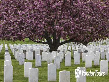 Arlington National Cemetery Hop-On Hop-Off Tour