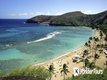 Hanauma Bay Snorkeling Adventure Half-Day Tour