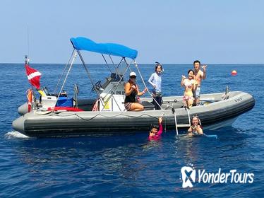 Private Charter: Kealakekua Bay Snorkel and Wild Dolphin Swim