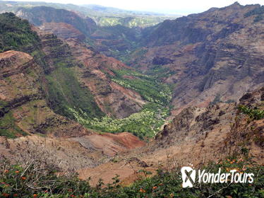 Kauai Waimea Canyon Experience