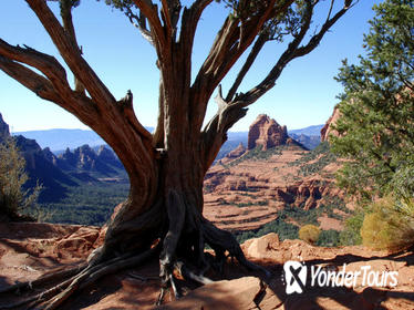 Old Bear Wallow Tour from Sedona