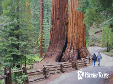 2-Day Yosemite National Park Tour from San Francisco 2-Day Yosemite National Park Tour from San Francisco