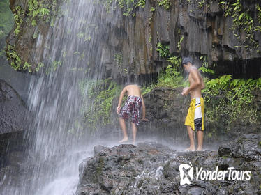 Kohala Waterfalls Small Group Adventure Tour