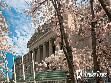 Brooklyn Museum General Admission