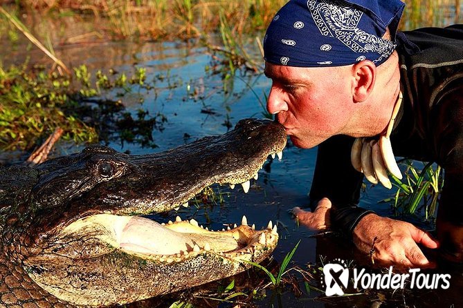 60-Minute Everglades Airboat Tour and Gator Boys Alligator Rescue Show  (2023)