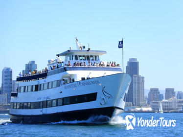San Diego One Hour Harbor Cruise and Sea Lion Adventure