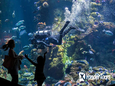 Skip the Line: California Academy of Sciences General Admission Ticket