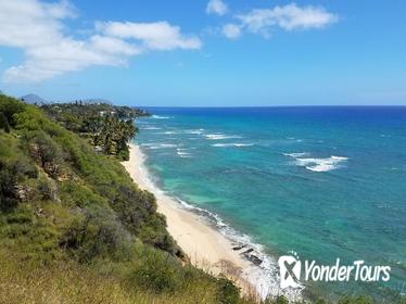 Oahu Duck Tour of Waikiki and Diamond Head