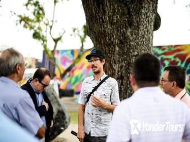 Official Street Art Walking Tour of The Wynwood Walls