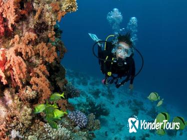 Cabo San Lucas 2 Tank Customized Dive