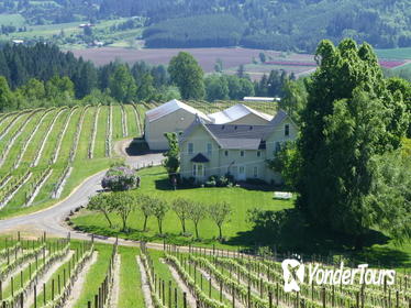 Willamette Valley Wine-Tasting Tour from Portland