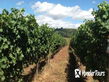 Willamette Valley Wine-Tasting from Portland