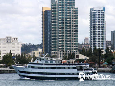 San Diego Two Hour Harbor Cruise and Sea Lion Adventure