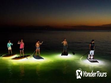Illuminated Kayak or Stand-Up Paddleboard Tour in Vancouver