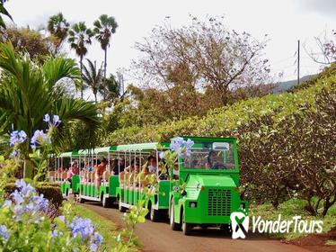 The Tropical Express at Maui Tropical Plantation