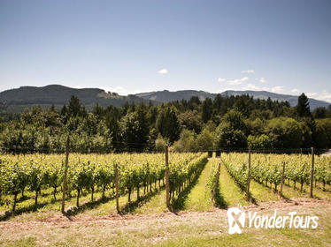 Vancouver Shore Excursion: Private Fraser Valley Wine Tour