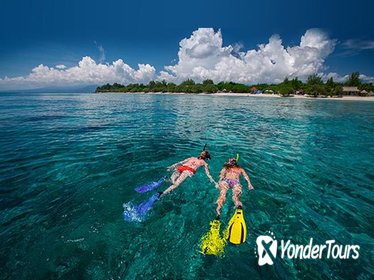 Half-Day Cozumel Snorkeling and Dune Buggy Tour with Punta Sur & Tequila Museum