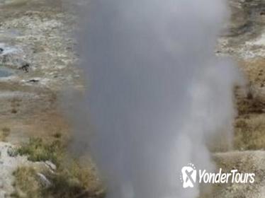 Yellowstone Guided Day Tour From Jackson Hole Yellowstone Guided Day Tour From Jackson Hole