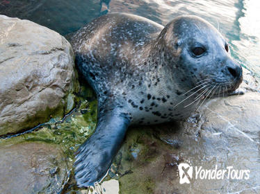 New England Aquarium Admission