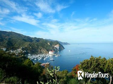 Catalina Island Day Trip from Anaheim or Los Angeles with Optional Upgrades Catalina Island Day Trip from Anaheim or Los Angeles with Optional Upgrades