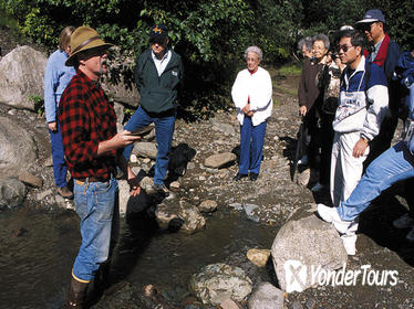 Juneau Shore Excursion: Gold Mining and Panning at Gold Creek from Juneau