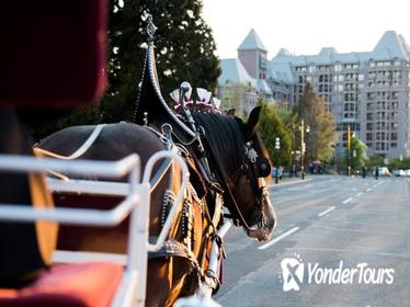 60-Minute Deluxe Horse-Drawn Carriage Tour