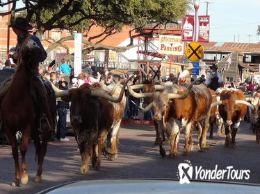 Half-Day Guided Best of Fort Worth Historical Tour