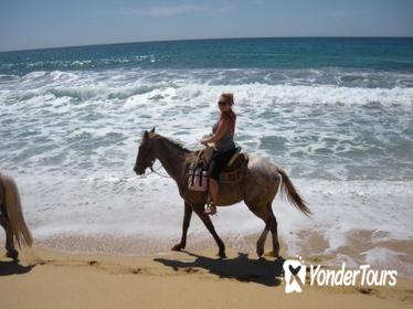 Los Cabos Shore Excursion: Horseback Riding Adventure