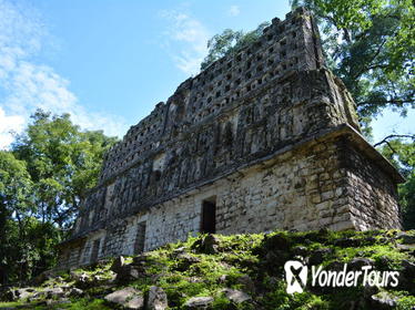 Lacandona Jungle, Yaxchilan and Bonampak Day Trip from Palenque