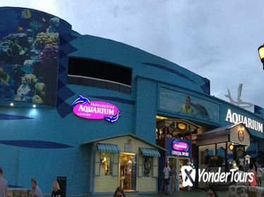 Great Wheel & Cancun Interactive Aquarium