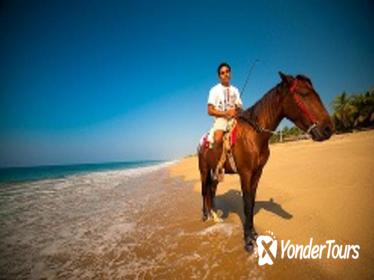 Ixtapa Shore Excursion: Horseback Riding on Zihuatanejo Bay