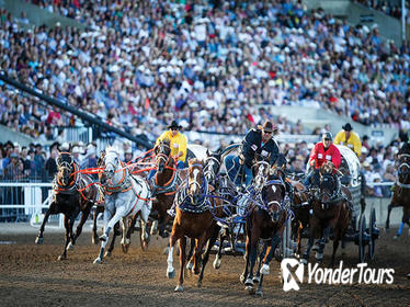 The Calgary Stampede