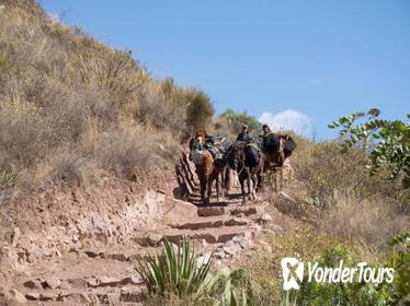 Inca Quarry Trek to Machupicchu (4 days 3 nights)